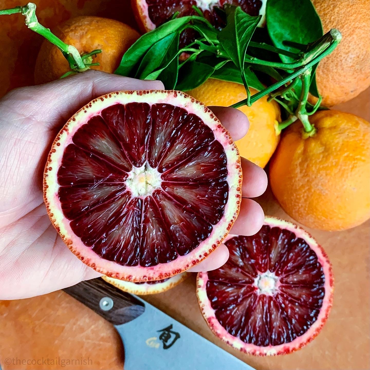 orange blood garnish